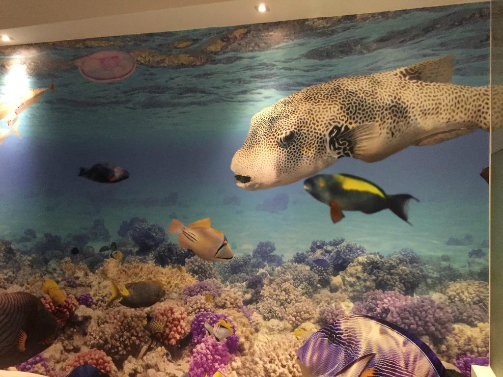 Moon 23 Hotel シンガポール エクステリア 写真